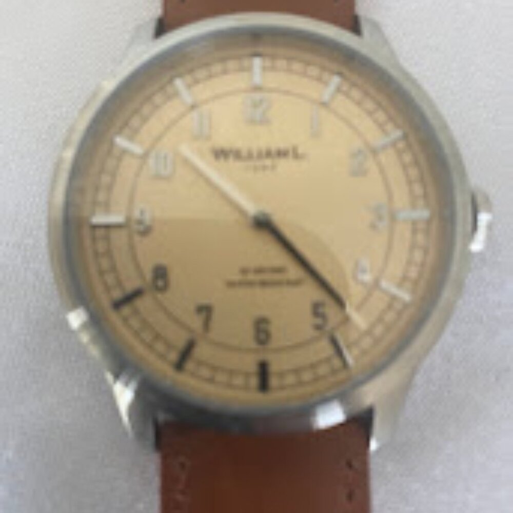 William L. 1895 men's watch, salmon
